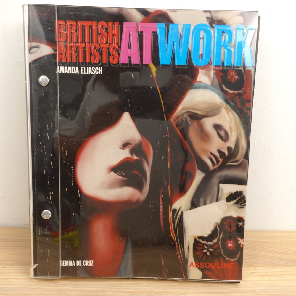British Artists at Work Amanda Eliasch Gemma De Cruz Contemporary Art Book 2003